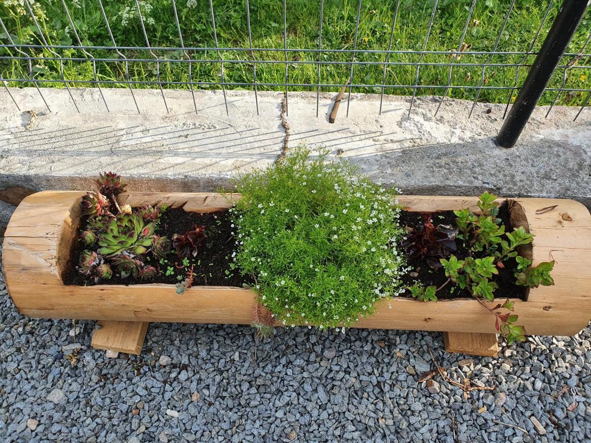 Pensiune Agroturistica Casa Alex Baba Esterno foto