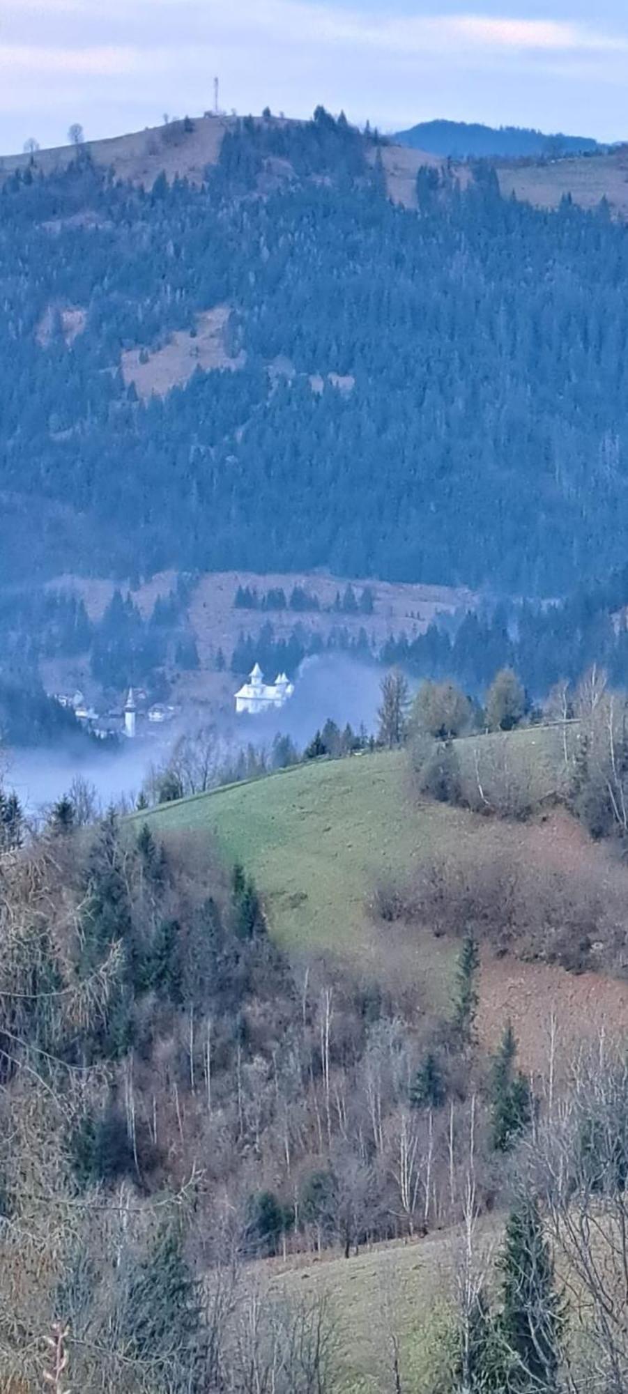Pensiune Agroturistica Casa Alex Baba Esterno foto